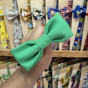 Braga de charol con lazo verde en tienda de accesorios para mascotas.